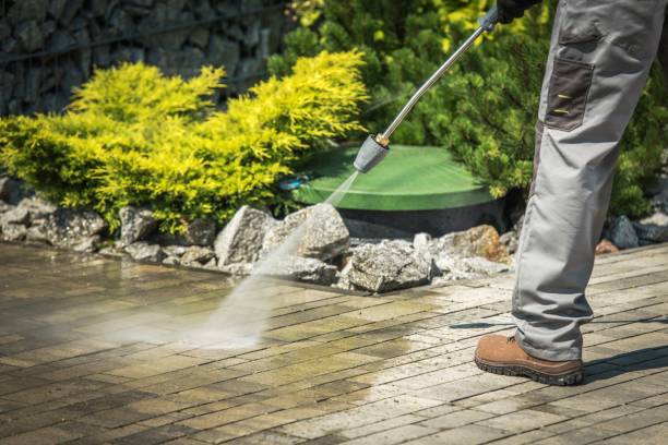 Best Solar Panel Cleaning  in Glenwood, IL