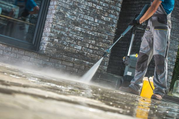 Best Graffiti Removal  in Glenwood, IL